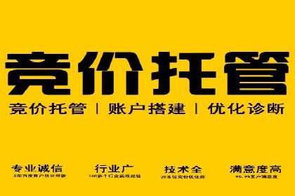 探索SEM竞价代运营公司的服务模式与市场趋势